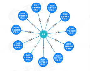 外賣小哥身陷網絡信息技術漩渦 莫名任11家公司監事，癱瘓母親低保被取消